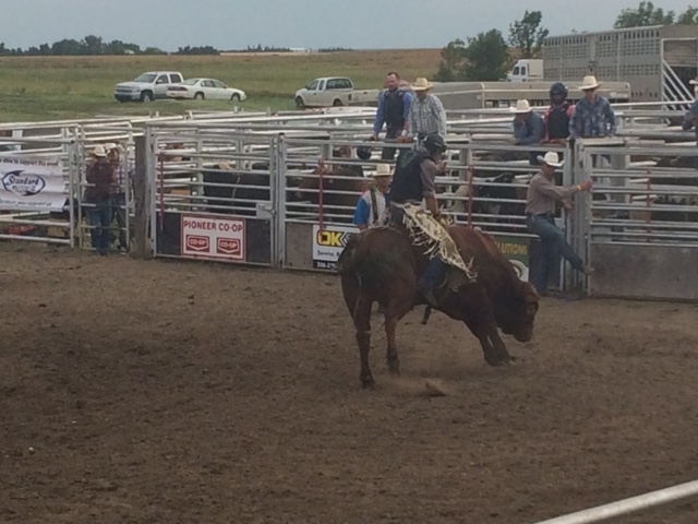 Kyle Rodeo Celebrates 40th Anniversary - SwiftCurrentOnline.com - Local ...