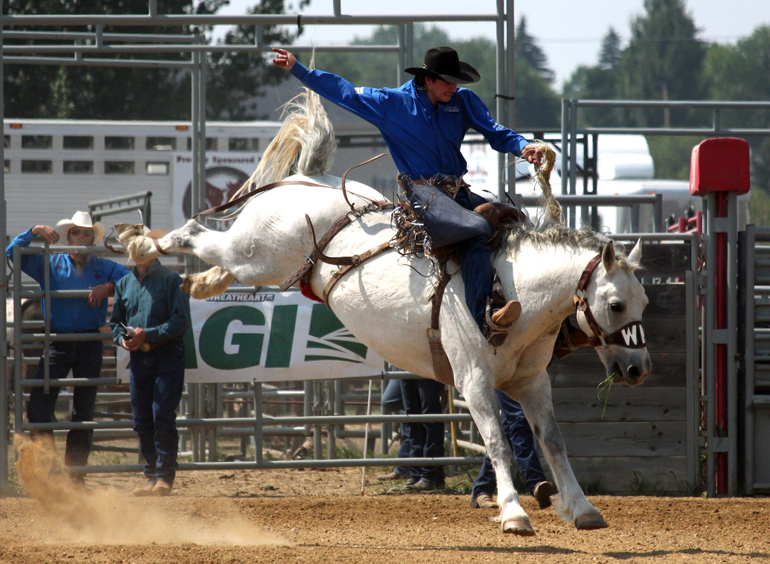 Photos: Unofficial Frontier Day's Rodeo Results Released ...