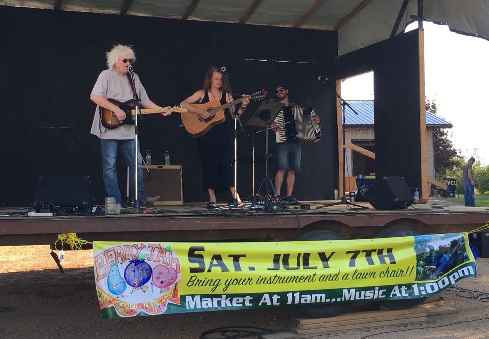 Large crowd takes in Berry Jam Music Festival