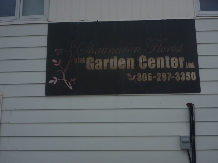 Saskatchewan Greenhouses Will Be Opening for the Season Local news