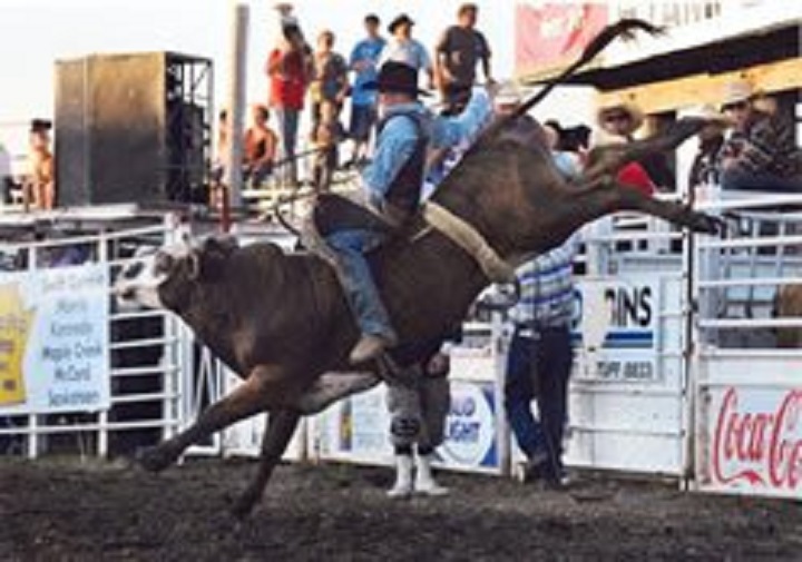 Running Rodeo Stock CCA Finals Stock Ready For Show - SwiftCurrentOnline.com - Local news ...