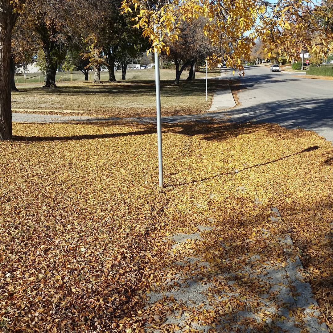 September Scrawlings From Ken's Keyboard