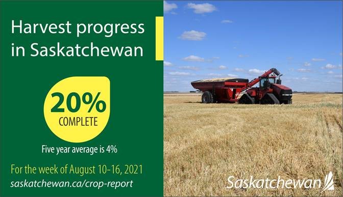 Saskatchewan Harvest Is Well Ahead Of The Five-Year Average ...